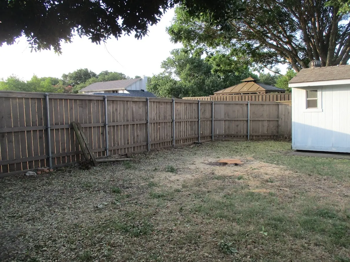 Cleared yard after professional tree removal in Vredenburgh